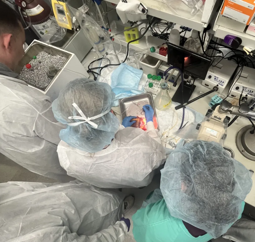 Iowa Living Human Heart Program debuts website